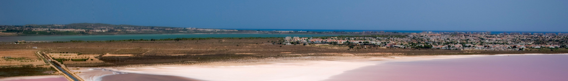 Ruta ornitológica Salinas de Santa Pola y dunas de La Marina-Guardamar